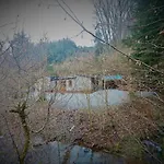 Le Ri De Va Maboge La Roche En Ardenne Ortho