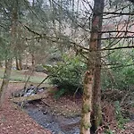 Σπίτι διακοπών Le Ri De Va Maboge La Roche En Ardenne Ortho