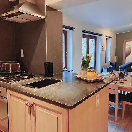 Le Ri De Vâ Maboge La Roche En Ardenne Ferienhaus *