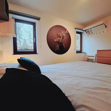 Ferienhaus Le Ri De Vâ Maboge La Roche En Ardenne *