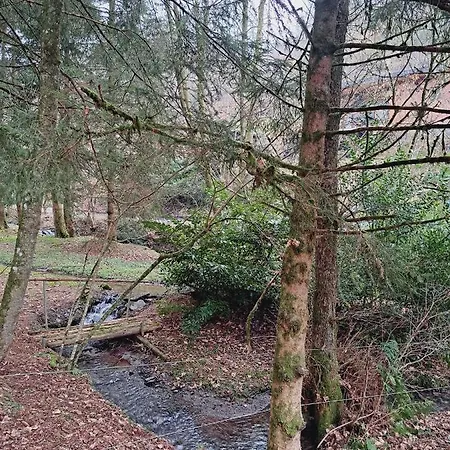 Дом отдыха Le Ri De Va Maboge La Roche En Ardenne Ortho