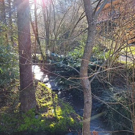 Ferienhaus Le Ri De Vâ Maboge La Roche En Ardenne *