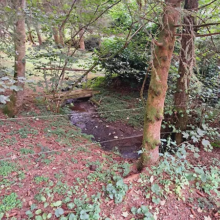 펜션 Le Ri De Va Maboge La Roche En Ardenne