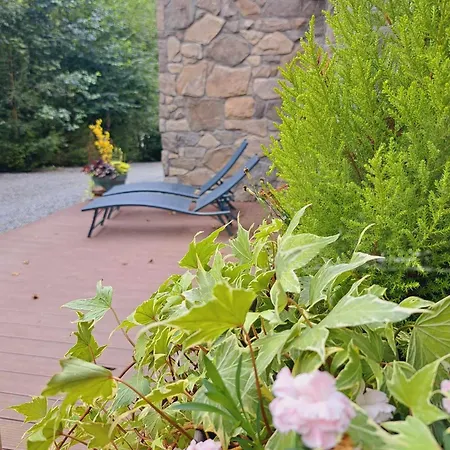 Le Ri De Vâ Maboge La Roche En Ardenne Ortho